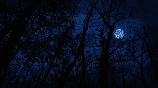 Eerie footage of a full moon slowly moving behind silhouetted tree branches creating a spooky night scene.