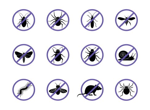 Set of twelve vector icons depicting various household pests and common insects inside forbidden warning circular signs for pest control prevention