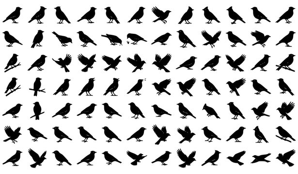 Lark Songbird Silhouette Vector Collection with Flying Wildlife and Nature Icons