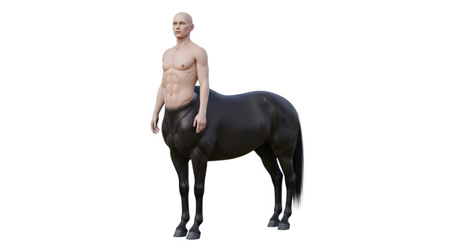 Male centaur mythical creature with human torso and black horse body on white background