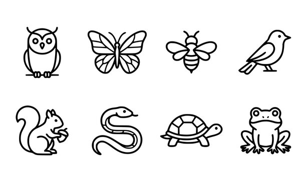 Set of cute wild animal line icons including owl butterfly bee bird squirrel snake turtle and frog