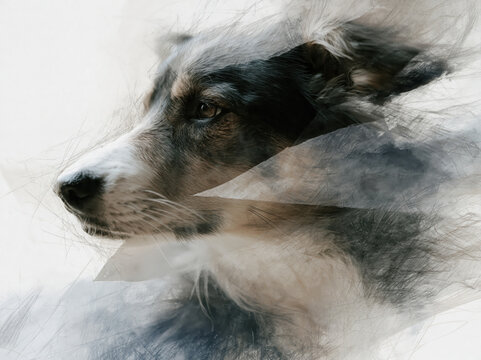 Sketch composite 3D photo collage of a dog, mixed media artwork, pencil sketch combined with realistic fur textures, layered paper cutout effect, modern digital art style, cinematic lighting