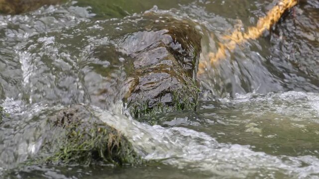 relaxing view on a flowing creek with nature sounds