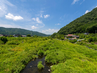 鮮やかな新緑が広がる八頭町の八東川 © しょこまろん