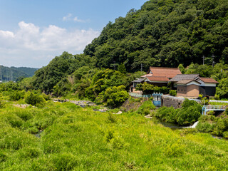 鮮やかな新緑が広がる八頭町の八東川 © しょこまろん