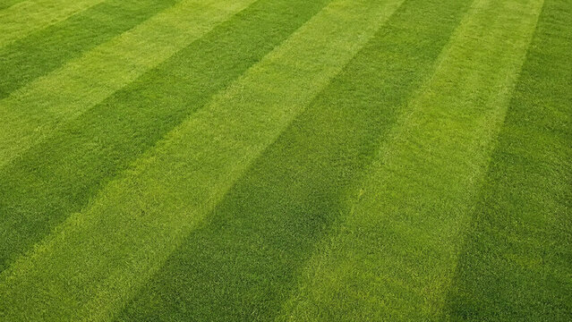 Freshly mown fairway grass with alternating light and dark green stripes