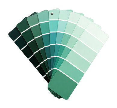 PNG Vibrant green paint swatch palette.