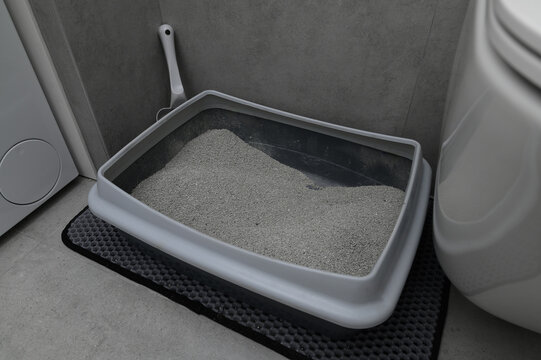Cat litter box in the bathroom filled with dust-free bentonite litter, pet hygiene