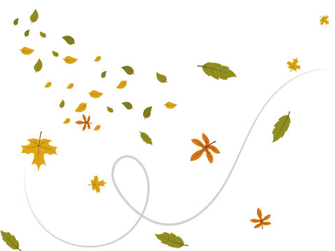 Autumn leaves swirling in the wind on a white background