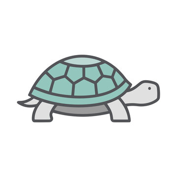 Cartoon turtle illustration