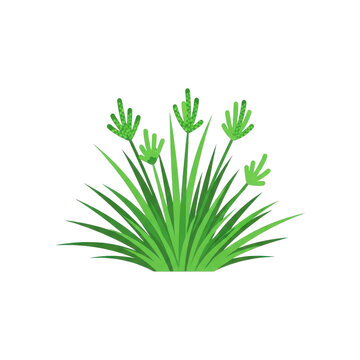 Simple grass bush vector illustration with green leaves isolated on white background