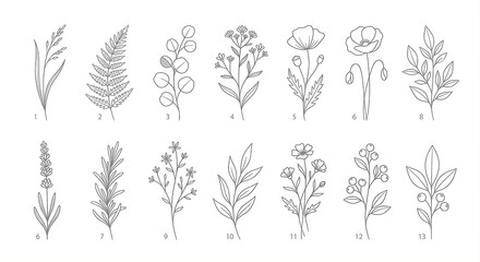 Fototapeta premium Minimalist Floral Elements on White