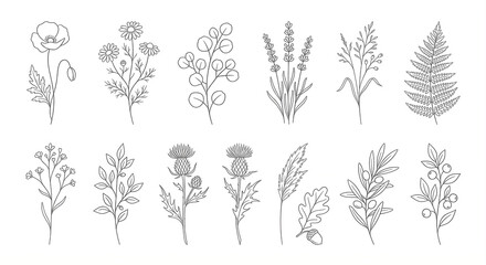Fototapeta premium Minimalist Floral Elements on White