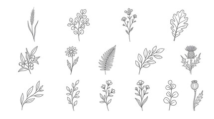 Fototapeta premium Minimalist Floral Elements on White