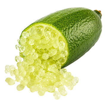 Fresh finger lime, vibrant green citrus fruit with caviar-like pulp spilling out, isolated on white background, gourmet ingredient