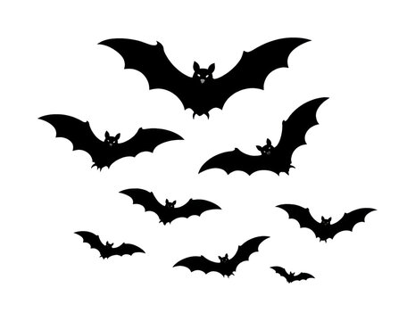 PNG Silhouetted bats flying in a spooky formation.
