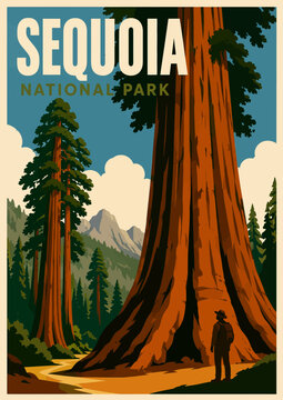 096-34-Hiker standing before a giant sequoia tree in sequoia national park, California