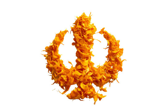 Khanda Sikh Symbol Formed from Orange Marigold Flowers