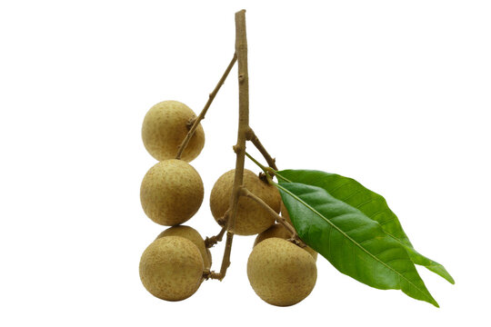 Ripe longan fruit isolated on a white background.