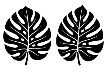 Monstera leaf silhouette vector, tropical deliciosa plant foliage icons, black botanical swiss cheese plant leaves on white background © Bugatti