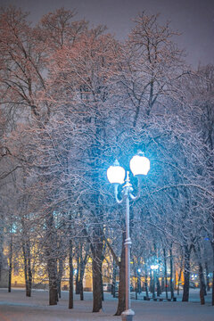 Glowing street lantern in snowy winter park at night, magical festive background with copy space