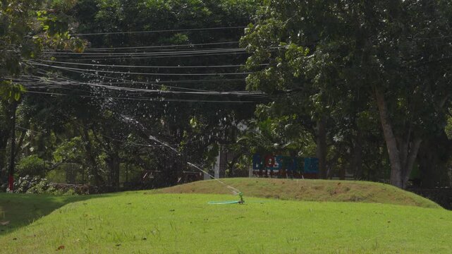 Green hill with trees and power lines overhead. People sit in distance, relaxed and unbothered. Lush grass and shadows create calm atmosphere. Ideal for tranquil park or nature retreat scenes