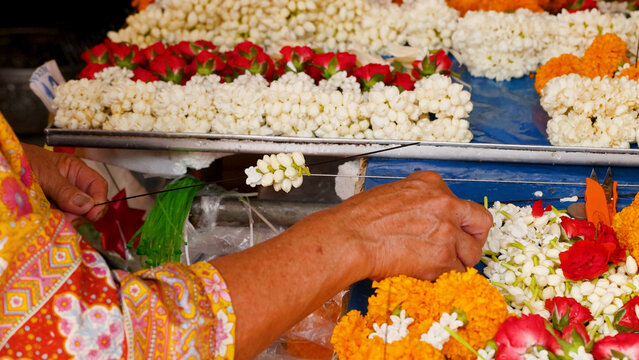 Close-up of Hands Threading Jasmine Buds for Traditional Thai Garland