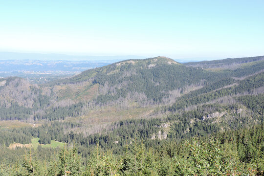 Panoramic view of Wielki Kopieniec mountain peak above Dolina Jaworzynka valley in September, Tatra Mountains in Poland