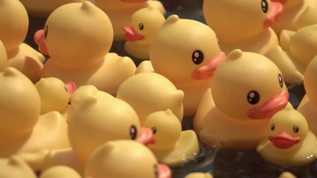 Group of rubber yellow ducks at pool