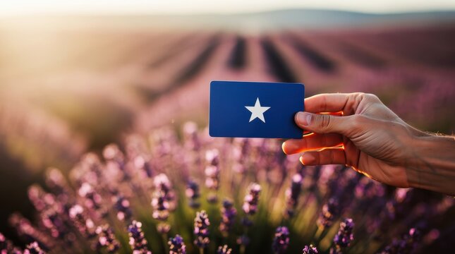 Hand holding Somali flag card in lavender field. Scenic sunset landscape highlighting national identity. Patriotism concept for Somali heritage or travel themes.