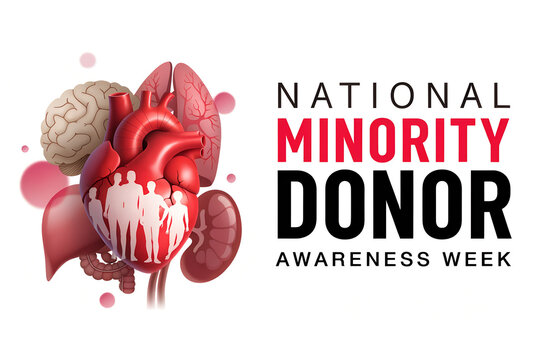 Medical illustration for National Minority Donor Awareness Week featuring heart, lungs, brain, and  silhouettes symbolizing diversity and lifesaving organ donation generated ai