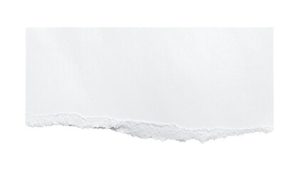 Fototapeta premium Torn white paper strip with rough ragged edges isolated on a clean empty bright white background