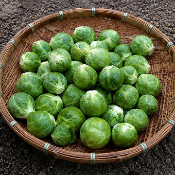 Fresh Brussels Sprouts in Woven Bamboo Basket Ready for Cooking