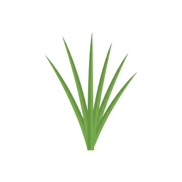 Minimalist Green Grass Tuft Graphic Design simple grass