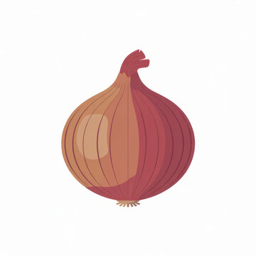 Vibrant red onion with papery golden brown skin isolated on white background.