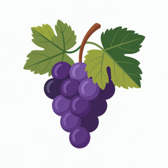 Fototapeta premium Fresh cluster of ripe purple grapes with green leaves on white background.