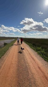 Mother and teenage son hiking together with their small dog along a rural dirt road surrounded by open countryside under a sunny blue sky