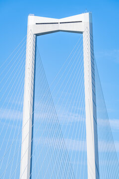 Background imagery of a cable-stayed sea-crossing bridge