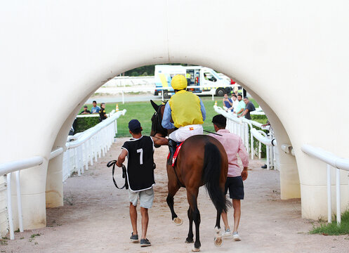 H&iacute;pica caballo de carreras Turf, jockey jinete y mozo de paddock a pista de hip&oacute;dromo