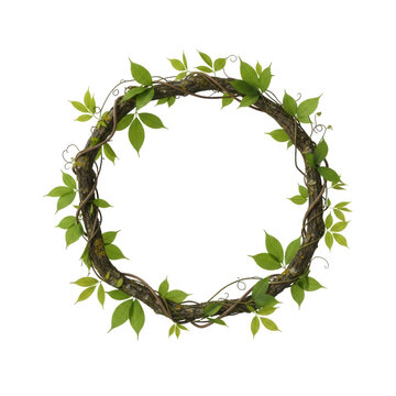 Rustic grapevine wreath with green leaves, natural wood branch circle frame, botanical vine border on white background