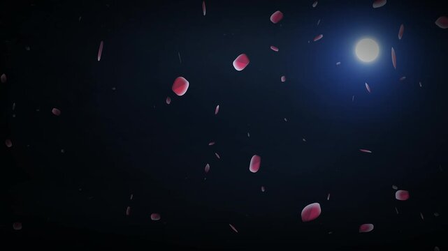 Falling rose petals floating in dark night sky under full moon light. Romantic dynamic background of red rose petals drifting against a dark nocturnal sky with moon