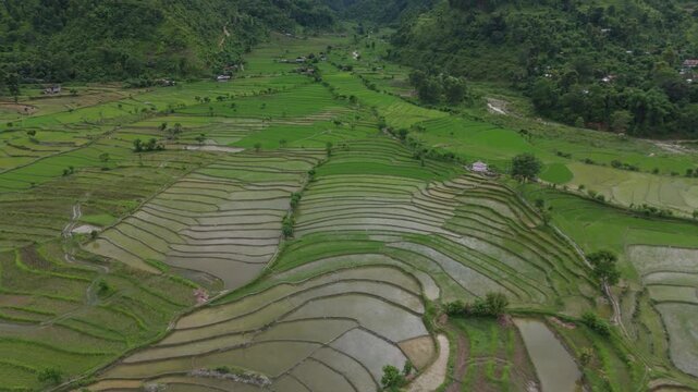 Curved flooded rice terraces across rural valley aerial