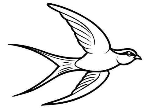 Swallow bird flying gracefully in flight