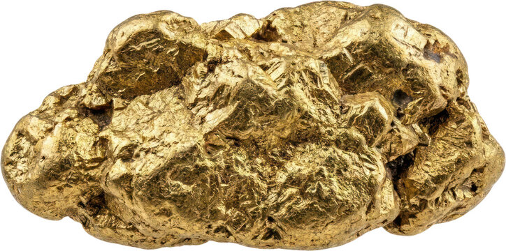 Raw gold nugget isolated on dark background.