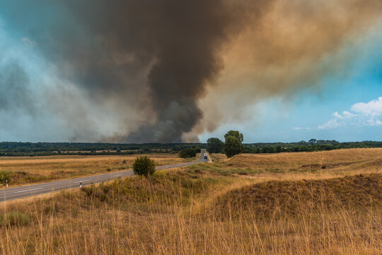 Wide landscape of a country road leading toward a massive smoke cloud from a wildfire burning in Deliblatska Pescara nature reserve. Deliblato, Serbia - August 7, 2026.