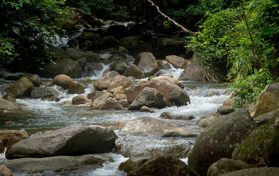 Rocky Tropical Rainforest Stream Flowing Through Jungle