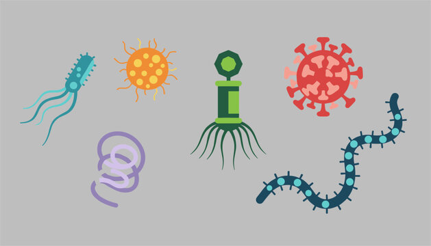 Set of different microscopic organisms including bacteria, viruses, bacteriophages, and parasitic worms on a gray background.