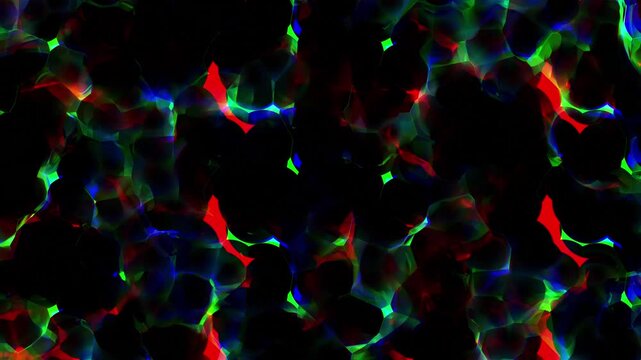 Colorful Fiery Fire Flames Effect Animation 4K Video