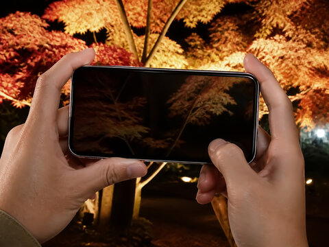 スマートフォンで紅葉ライトアップを撮影する手元