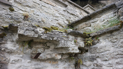Crumbling Medieval Stone Ledge Reclaimed by Moss and Ferns © Creatura Studio